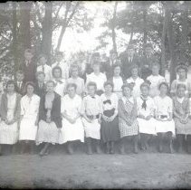 Group of School Children