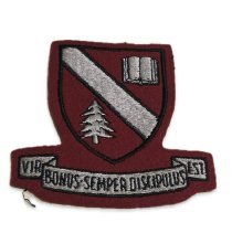 Patch, Insignia