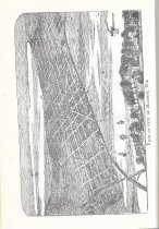 Birds Eye View of Madison next to tiel page