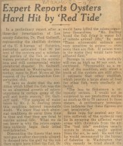 Expert Reports Oysters Hard Hit by 'Red Tide'