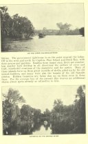 On The Upper Caloosahatchee
Motoring on the Orange River