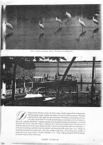 Gourmet Holidays - Florida's Barrier Islands