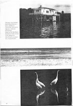 Gourmet Holidays - Florida's Barrier Islands