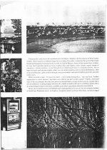 Gourmet Holidays - Florida's Barrier Islands