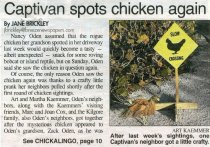 Captivan spots chicken again