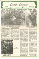 Buck Key stands as a reminder of the island's past