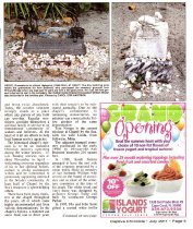 In a Chapel by the Sea