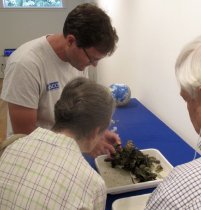 Eric Milbrandt, Director of SCCF Marine Laboratory