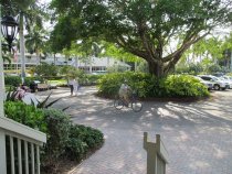 Dave Jensen on bicycle