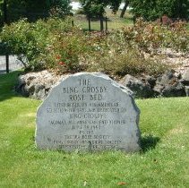 Bing Crobsy Rose Bed, 2003