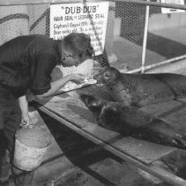 Dub Dub the seal, with Fifi the second