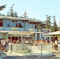 Zoo postcard, post-1963