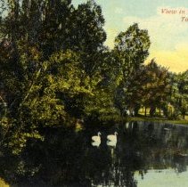Postcard