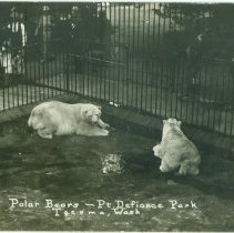 Postcard obverse