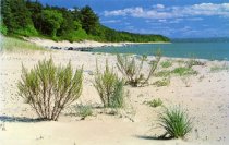 Lake Michigan Shoreline on Little Traverse Bay, Harbor Springs