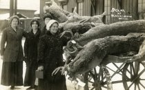 Women next to trailer of dead deer, Mackinaw, Mich.
