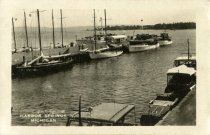 Boats on docks in Harbor Springs