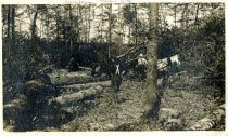 Logging by Harbor Springs Lumber Co. - near Harbor Springs, Mich 1911