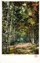 Lover's Lane, Roaring Brook