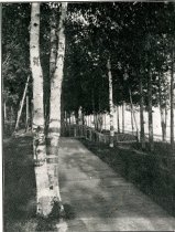 The Birches at Wequetonsing