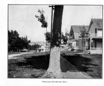 Street Scene Near Belvedere Hotel