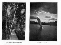 Walk AMong the Beeches, Emmet beech and Moonlight on Traverse Bay