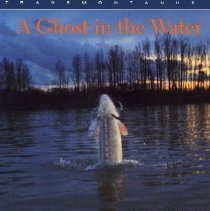 A Ghost in the Water