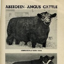Aberdeen-Angus Cattle
