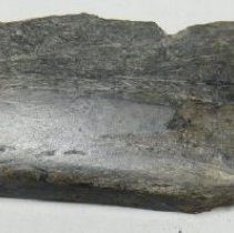 Adze Blade Fragment
