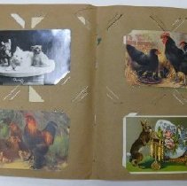 Album, Postcard