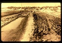 Causeway after a storm