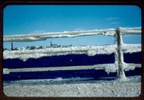 Ice Storm & Abbot Hall