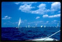 Sailboat Races