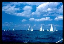 Sailboat Races