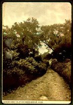 Judges Lane, Clifton