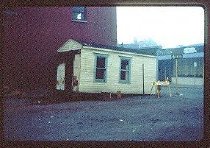 Shed and Molly Waldo