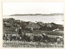 view of harbor and neck