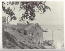 Tuckers Whary from Crocker Par