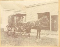 Horse and Buggy on Hathaway Fa
