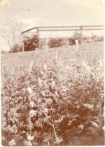 J. O. J.  Frost Homestead Phot