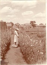 J. O. J.  Frost Homestead Phot