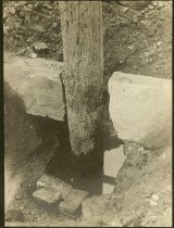 Telephone pole and curbing