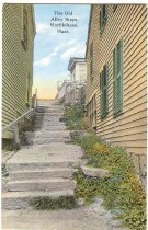 Alley Steps
