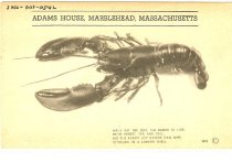 Adams House Restaurant