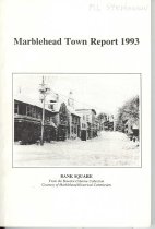 Town Report 1993