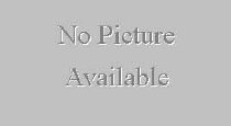 No Current Picture Available