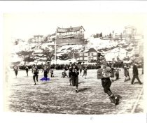Snowy Field on Thanksgiving