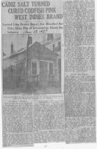 Cadiz Salt, Page 61