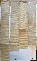 Indians by Richard Tutt