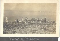 View of Beach